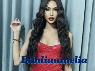 Dahliaamelia