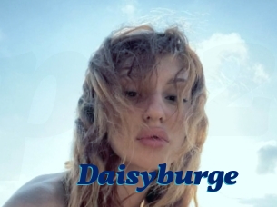 Daisyburge