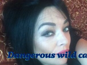 Dangerous_wild_cat