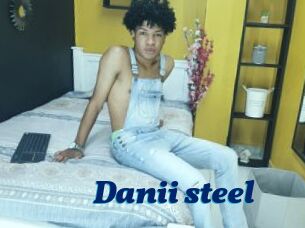 Danii_steel