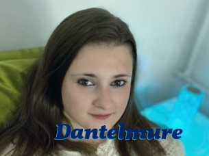 Dantelmure