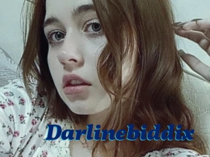 Darlinebiddix