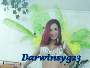 Darwinsyg23