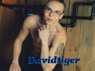 Davidtiger