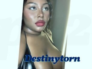 Destinytorn