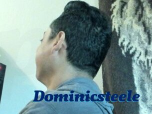 Dominicsteele