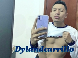 Dylandcarrillo