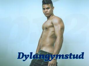 Dylangymstud