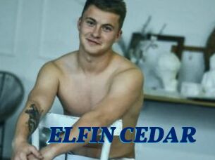 ELFIN_CEDAR