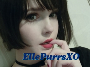 EllePurrsXO