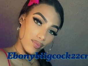 Ebonybiigcock22cm