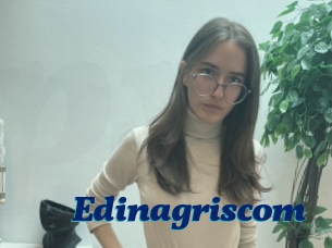 Edinagriscom