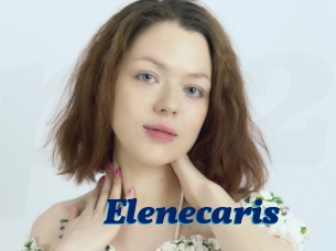 Elenecaris