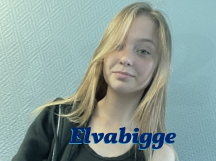 Elvabigge