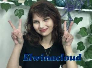 Elwinacloud