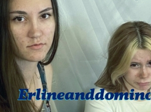 Erlineanddomino