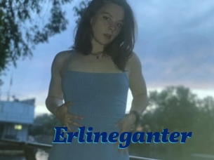 Erlineganter