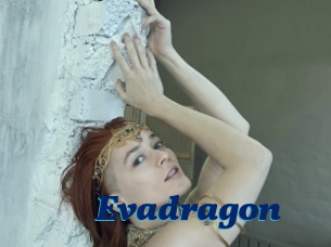 Evadragon