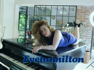 Evehamilton