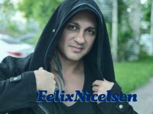 FelixNicelsen