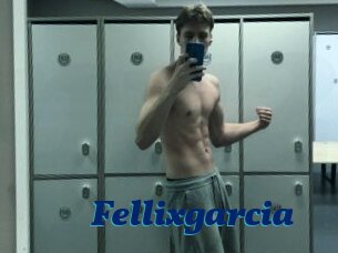 Fellixgarcia