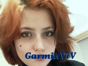 GarminViV