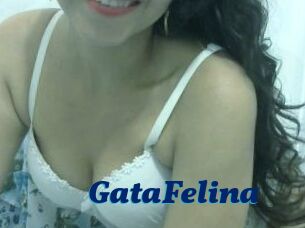 GataFelina