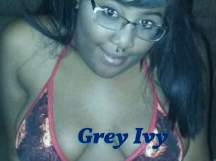 Grey_Ivy