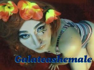 Galateashemale