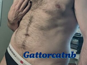 Gattorcatnb