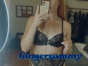 Gingersammy