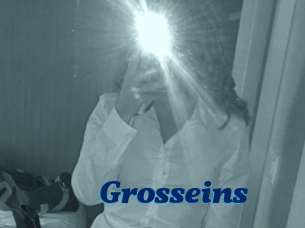 Grosseins