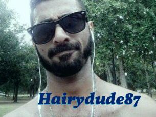 Hairydude87