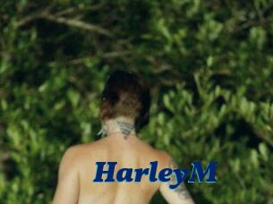 HarleyM