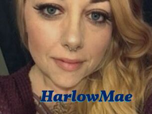 HarlowMae