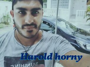 Harold_horny