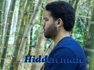 Hidden_man