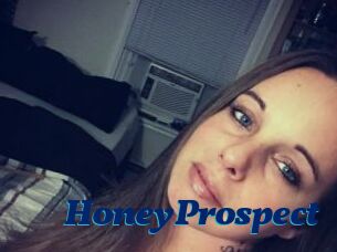 HoneyProspect