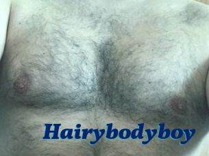 Hairybodyboy