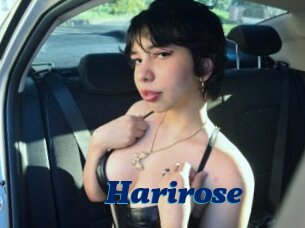 Harirose