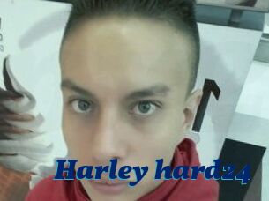 Harley_hard24