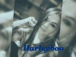 Harleyboo