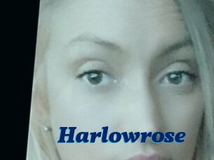 Harlowrose