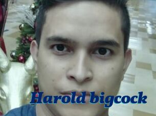 Harold_bigcock