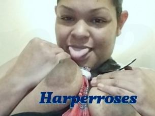 Harperroses