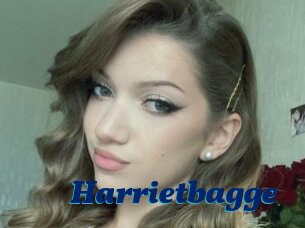 Harrietbagge