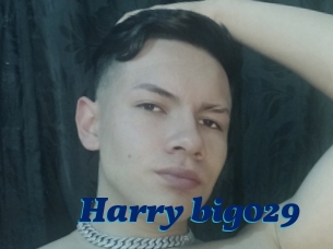 Harry_big029