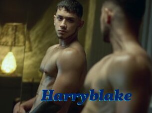 Harryblake