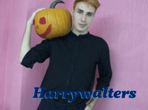 Harrywalters