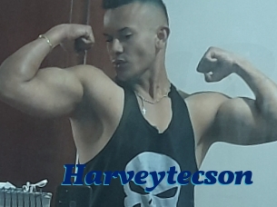 Harveytecson